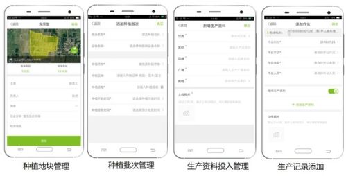 大田智慧農業投資1.28億元數字化服務，推動農產品安全生產與數字內容制作